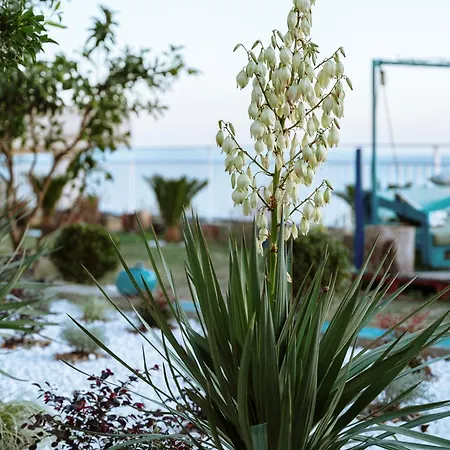 公寓 Sea View With Private Garden Durrës