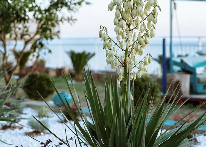 Apartment Sea View With Private Garden Durres